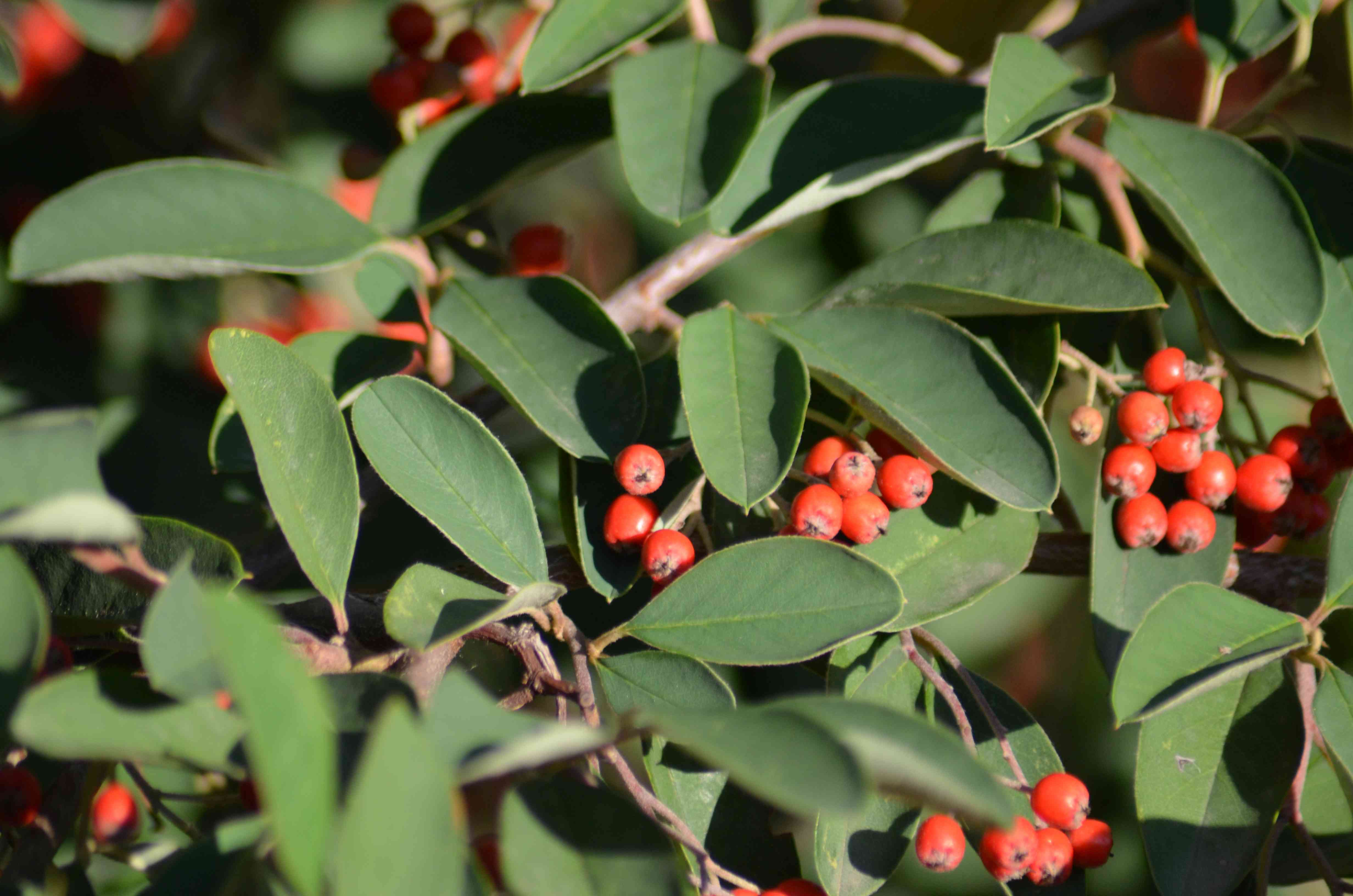 No s'ha trobat l'arxiu